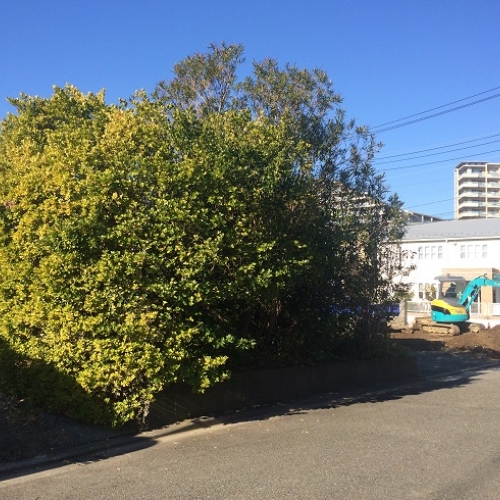 藤沢市弥勒寺５棟造成工事｜造成工事｜株式会社総栄　施工前